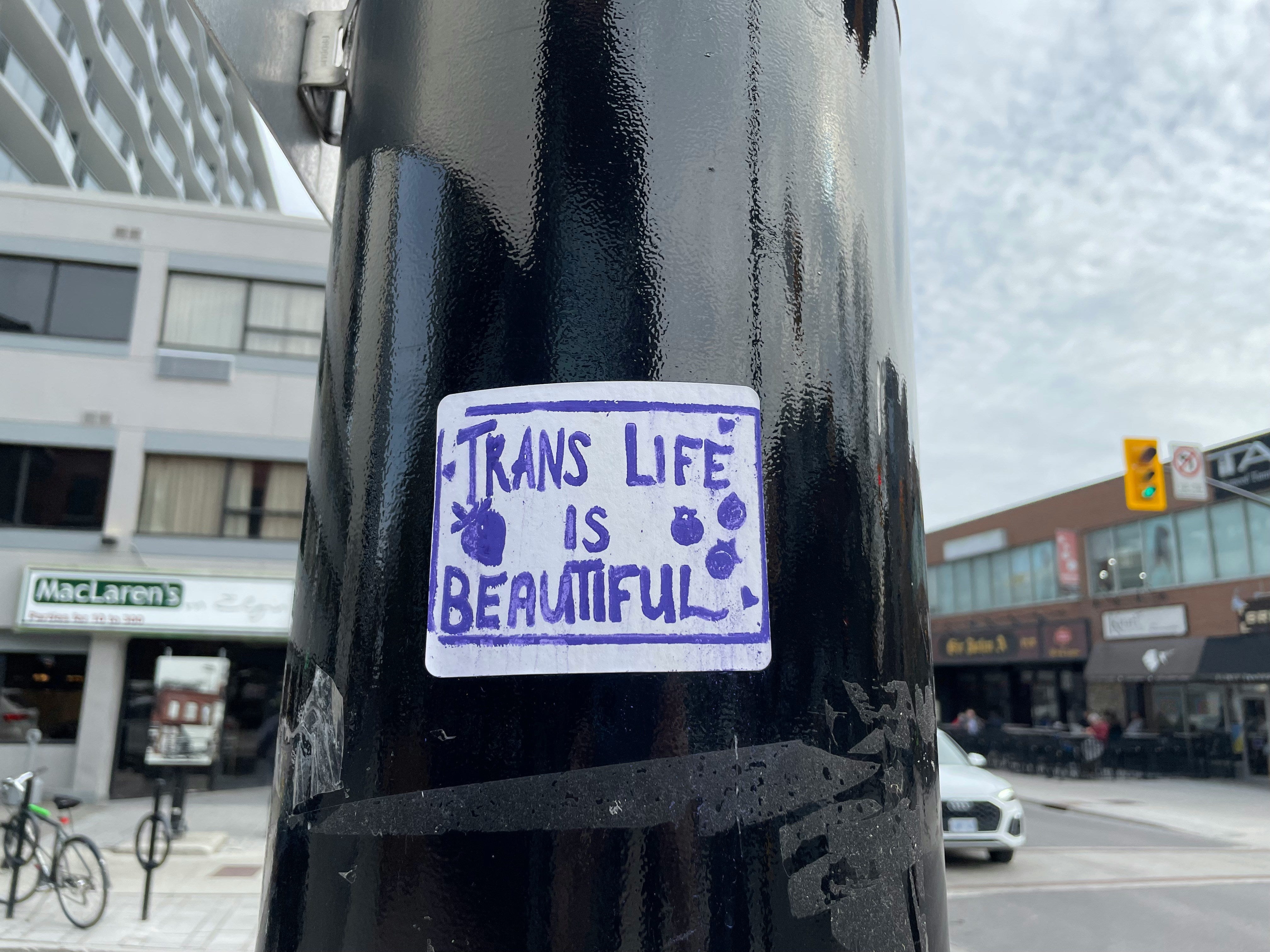 They can't erase us: Trans people have always been here